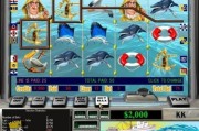 A experiência de apostas no Brasil com 119bet..com e suas vantagens reais